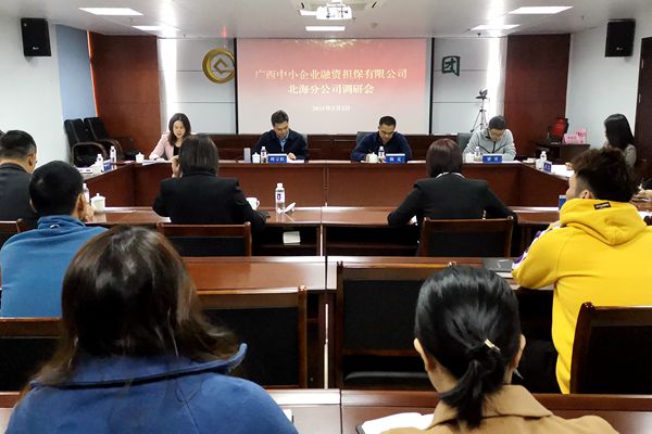 中小擔保領(lǐng)導赴北海、防城港調(diào)研 