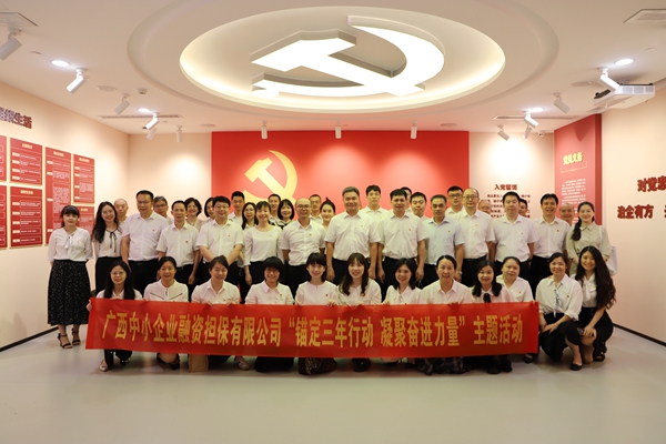 中小擔(dān)保開展“錨定三年行動 凝聚奮進力量”主題活動
